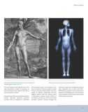 Anatomy for Artists: A visual guide to the human form. Изображение №5