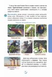 Я досліджую світ. Підручник для 4 класу закладів загальної середньої освіти (у 2-х частинах) Частина 2. Зображення №7