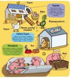 Ферма. Маленькі дослідники. Зображення №2