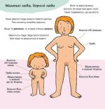 Звідки беруться діти?. Зображення №3