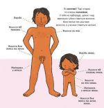 Звідки беруться діти?. Зображення №4