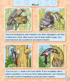 Світ тварин Енциклопедія в картинках. Зображення №2 Світ тварин Енциклопедія в картинках. Зображення №2