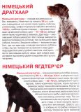 Велика книжка мисливські собаки. Зображення №2