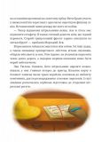 Як урятуватися з Безнадійного острова. Повість-казка на морську тематику. Изображение №5 Як урятуватися з Безнадійного острова. Повість-казка на морську тематику. Изображение №5