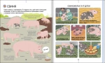 На фермі. Енциклопедія для допитливих. Зображення №5
