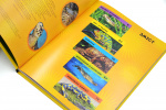 National Geographic. Моя перша енциклопедія. Рептилії та амфібії. Изображение №1