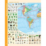 Атлас. Географiя. 6 клас. Зображення №3