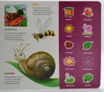 Зазирни у віконце. Хто це? Котик. 50 віконець. Зображення №1