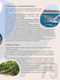 Перлини природи України. Зображення №3