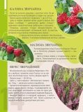 Перлини природи України. Зображення №4