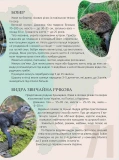 Перлини природи України. Зображення №5