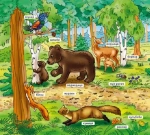 Мій перший словник: У лісі. Зображення №1