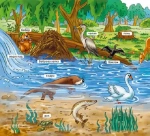 Мій перший словник: У лісі. Зображення №3