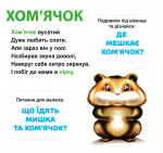 Хто де живе? 33 Віконця. Зображення №3