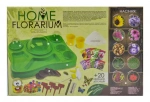 Home Florarium. Безпечний освітній набір для вирощування рослин (коробка 34х23). Зображення №1