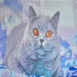 Алмазна мозаїка Зацікавлений сірий кіт 50х50 см GA0004. Изображение №3