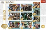 Пазли 10 в 1 У світі Гаррі Поттера. Зображення №1