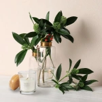 Ароматична соєва свічка Bispol в скляному стакані під дерев’яною кришкою Лавровий листок-ожина (sn73-325). Зображення №1