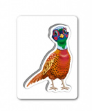 Пізнаємо з народження. На подвір'ї. Зображення №1