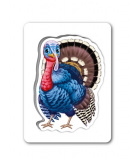 Пізнаємо з народження. На подвір'ї. Зображення №3