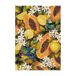 Пазл Dodo Ботаніка Тропічні фрукти 300616 Easy-XL. Изображение №2