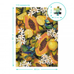 Пазл Dodo Ботаніка Тропічні фрукти 300616 Easy-XL. Изображение №4