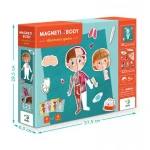 Розвиваюча гра Dodo Магнітне тіло 200220. Изображение №1