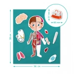 Розвиваюча гра Dodo Магнітне тіло 200220. Изображение №3