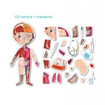 Розвиваюча гра Dodo Магнітне тіло 200220. Изображение №4