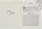 Зільбер. Друга книга сновидінь. Зображення №1