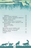 Коти-вояки. Таємниці кланів. Путівник по серії. Зображення №5 Коти-вояки. Таємниці кланів. Путівник по серії. Зображення №5