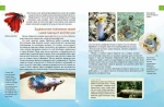 Тварини винахідники і будівельники. Зображення №7