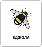 Картки з піктограмами. Тварини. Зображення №2