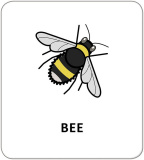 Картки з піктограмами. Тварини. Зображення №3