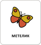 Картки з піктограмами. Тварини. Зображення №4