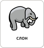 Картки з піктограмами. Тварини. Зображення №6