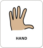 Картки з піктограмами. Гігієна. Моє тіло. Изображение №2