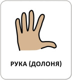 Картки з піктограмами. Гігієна. Моє тіло. Изображение №3