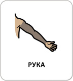 Картки з піктограмами. Гігієна. Моє тіло. Изображение №4