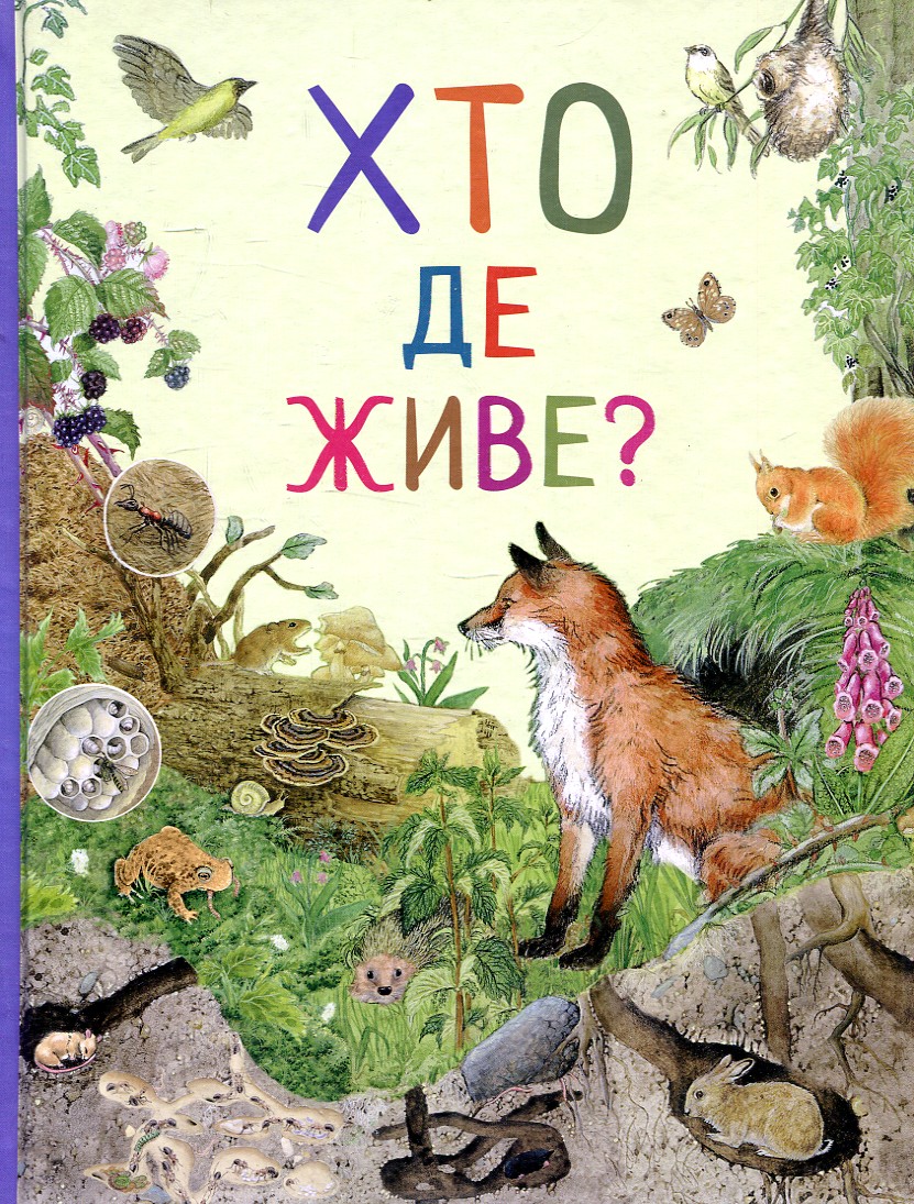 Дивовижний світ тварин. Хто де живе? Ренне Дивовижний світ тварин. Хто де живе? Ренне