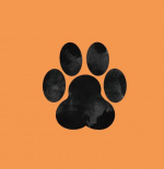 Слідами тварин. На фермі. Изображение №1