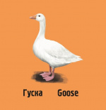 Слідами тварин. На фермі. Изображение №8