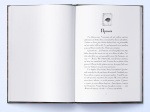 Сталь та Сонячний шторм. Книга 2. Изображение №1