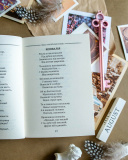 Леся Українка. Вибрана поезія. Драма-феєрія Лісова пісня (кишеньковий формат). Изображение №3