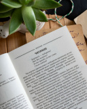 Тарас Шевченко. Вибрана поезія. Кобзар (кишеньковий формат). Зображення №6