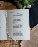 Тарас Шевченко. Вибрана поезія. Кобзар (кишеньковий формат). Зображення №9