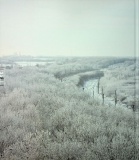 Railways in Ukraine. Микола Олексієнко. Ukraїner. Изображение №1