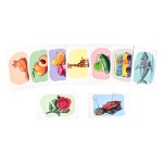 Настільна гра Strateg Розумна валіза Світ навколо. Зображення №6