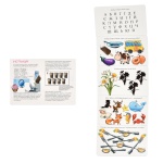 Настільна гра Strateg Розумна валіза Абетка, цифри, смаки, кольори. Изображение №1