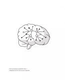 Великі ментальні моделі. Загальні концепції мислення. Зображення №4